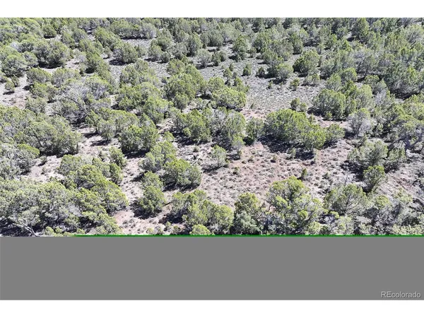 a view of a forest with a street
