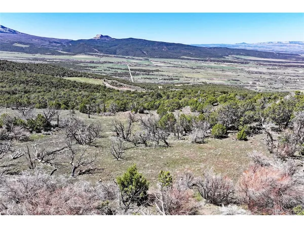 a view of a yard with an ocean