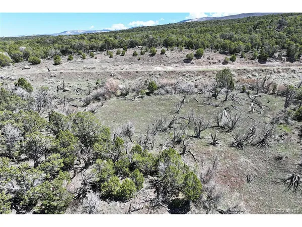 a view of a dirt and green yard