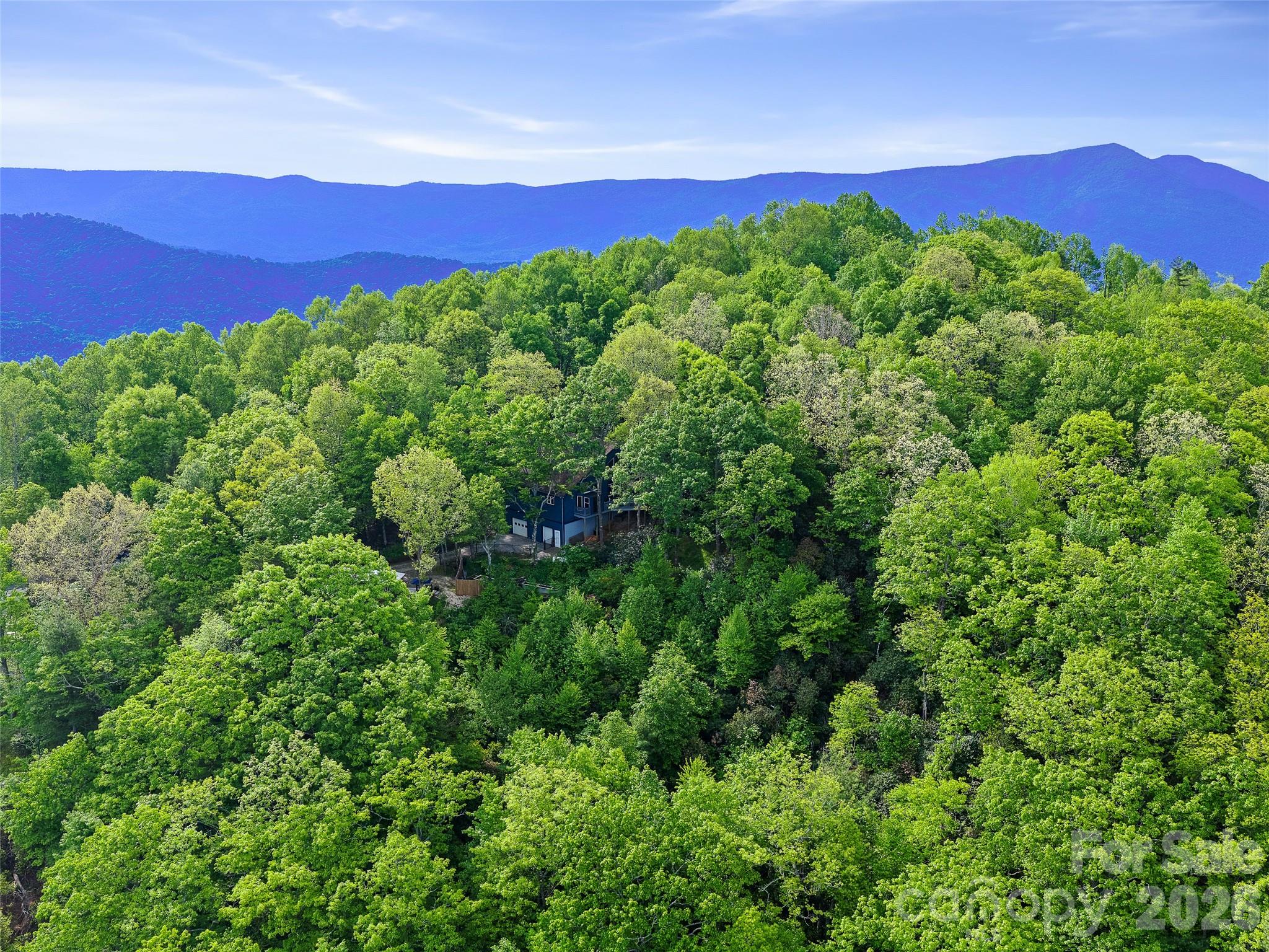 228 Continental Divide Road Spruce Pine, NC 28777 - Photo 42 of 48 a view of a lush green outdoor space with a house in the background