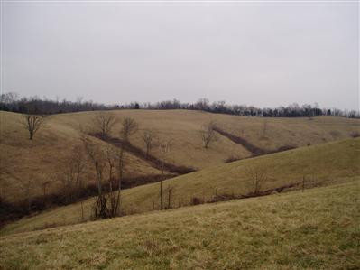 1065 Scrubgrass Creek Road Carlisle, KY 40311 - Photo 2 of 14 Photo 2