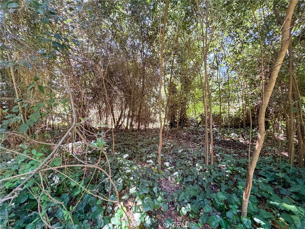 1967 Humboldt Road Chico, CA 95928 - Photo 20 of 25