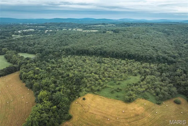 $775,000 | 0 John Emling Road, Irondale, MO 63648