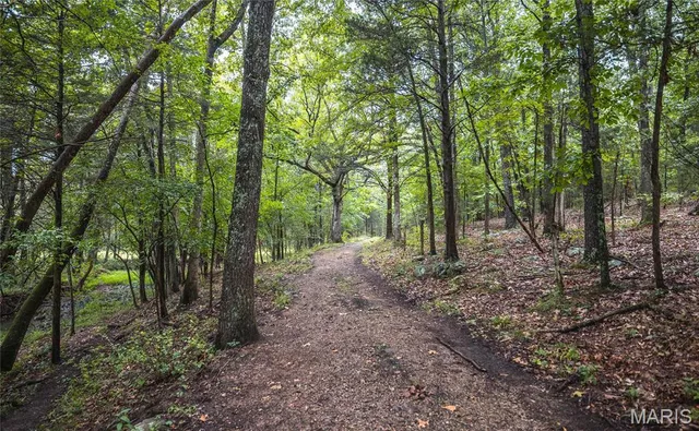 $775,000 | 0 John Emling Road, Irondale, MO 63648