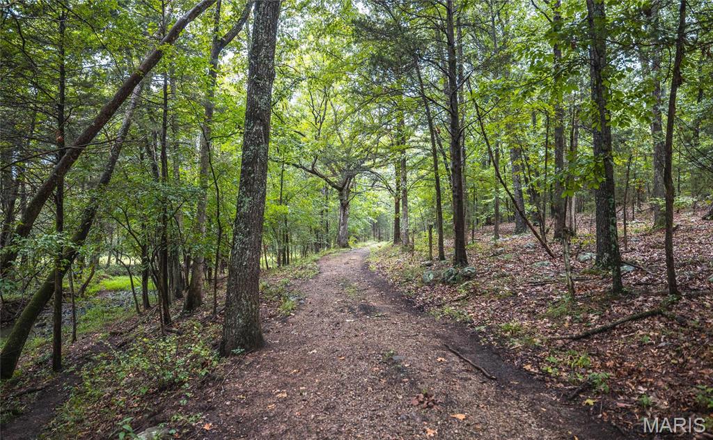 0 John Emling Road Irondale, MO 63648 - Photo 11 of 49