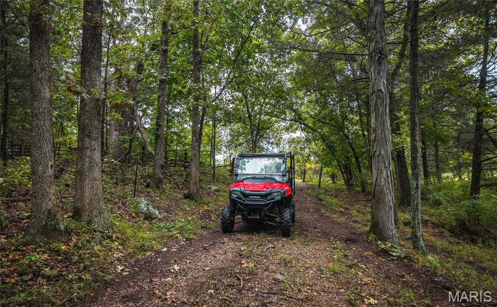 0 John Emling Road Irondale, MO 63648 - Photo 12 of 49