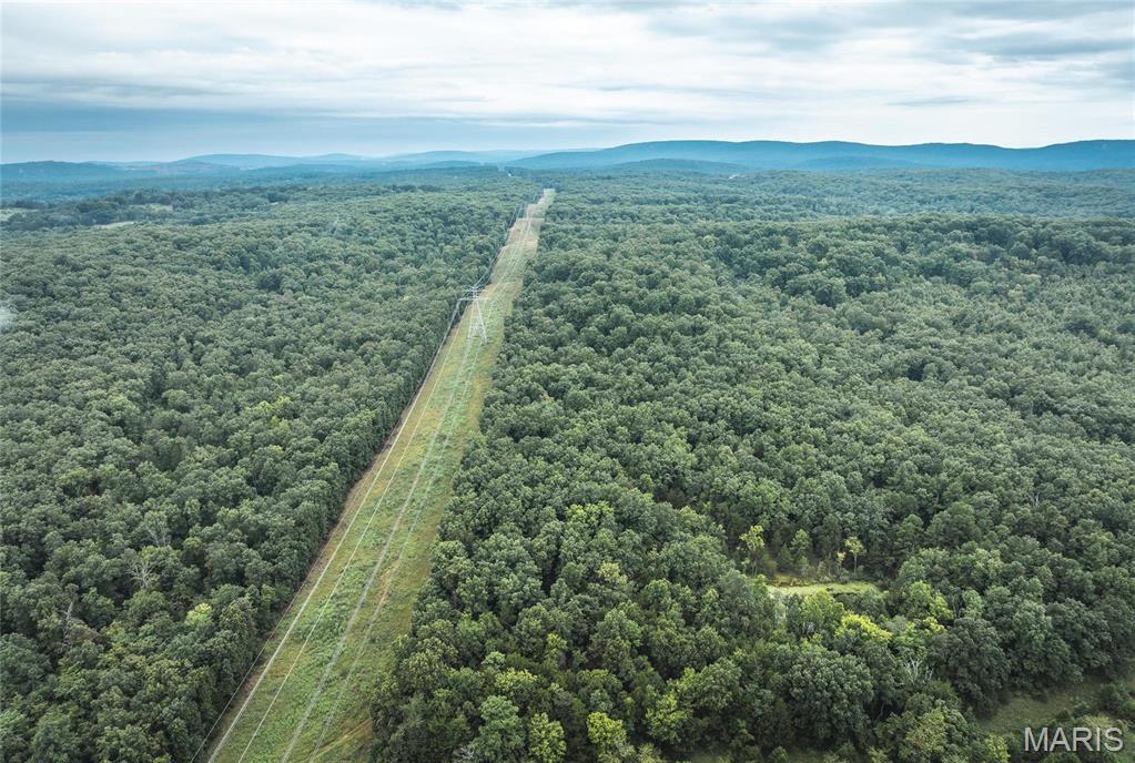 0 John Emling Road Irondale, MO 63648 - Photo 16 of 49