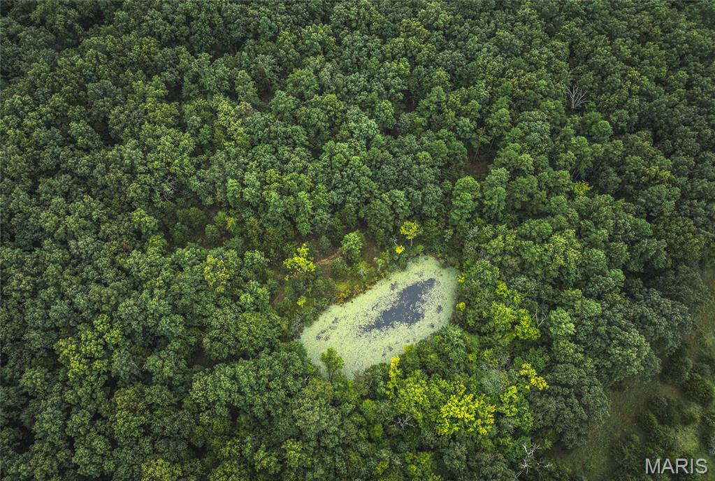 0 John Emling Road Irondale, MO 63648 - Photo 17 of 49