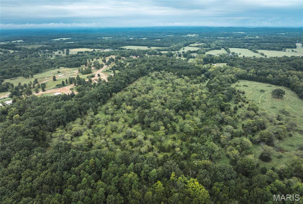 0 John Emling Road Irondale, MO 63648 - Photo 18 of 49