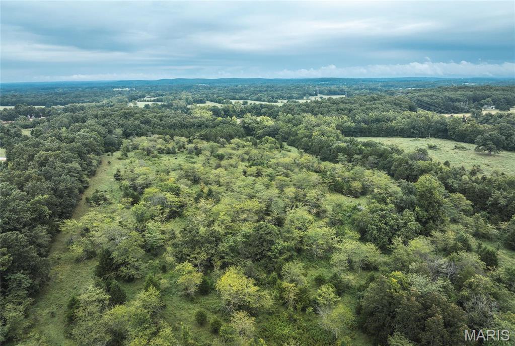 0 John Emling Road Irondale, MO 63648 - Photo 19 of 49