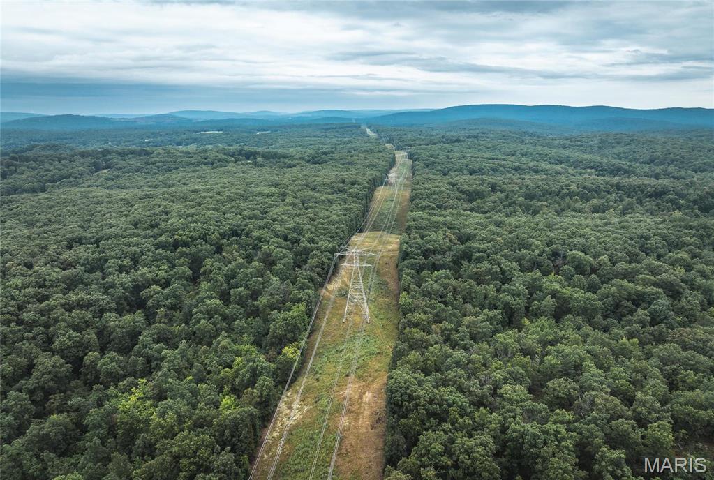 0 John Emling Road Irondale, MO 63648 - Photo 20 of 49