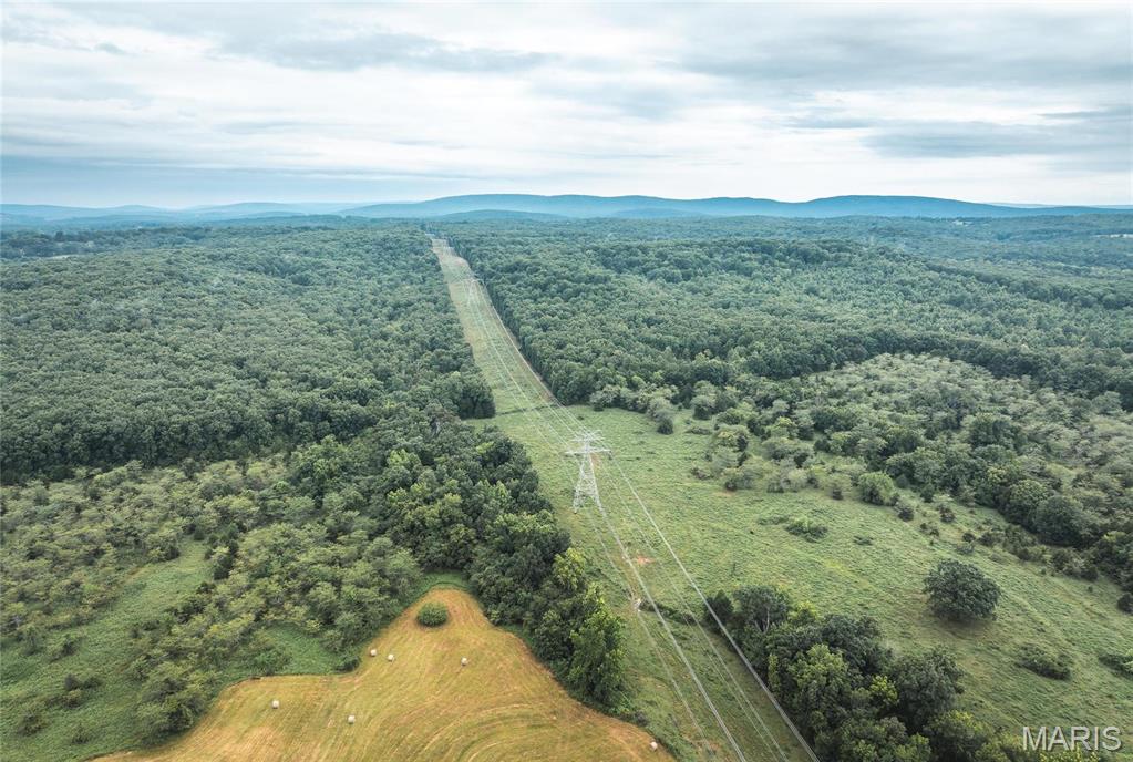 0 John Emling Road Irondale, MO 63648 - Photo 2 of 49