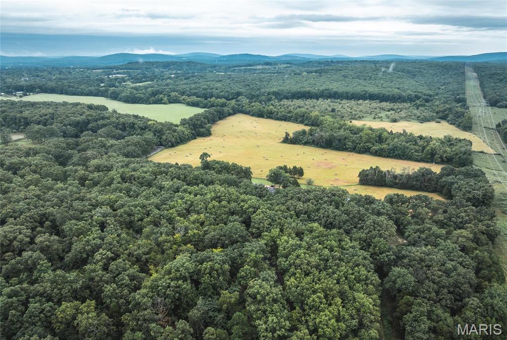 0 John Emling Road Irondale, MO 63648 - Photo 21 of 49