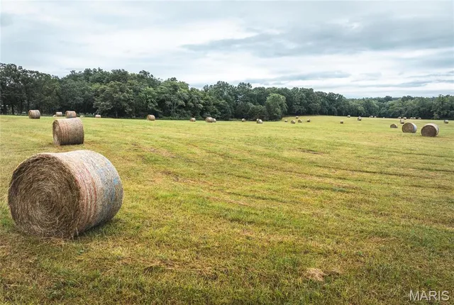 $775,000 | 0 John Emling Road, Irondale, MO 63648