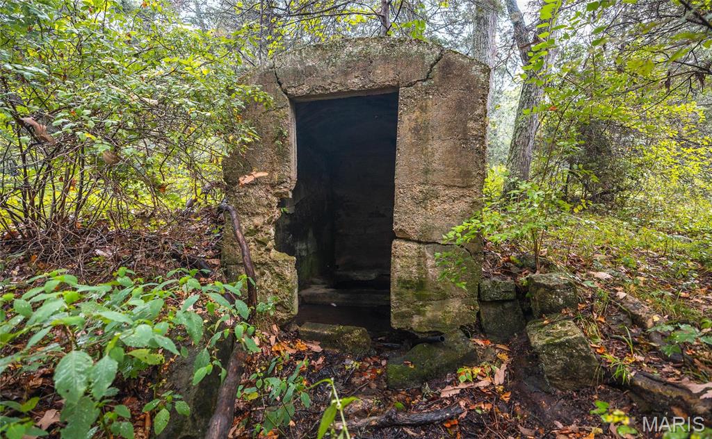 0 John Emling Road Irondale, MO 63648 - Photo 26 of 49