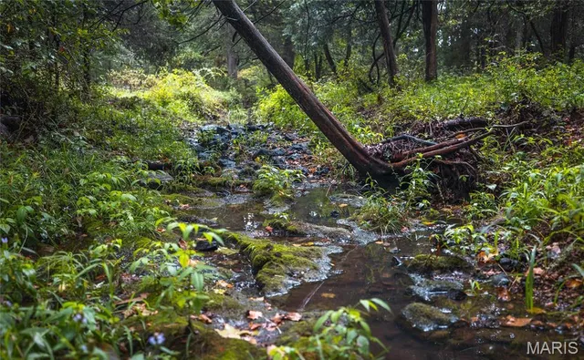 $775,000 | 0 John Emling Road, Irondale, MO 63648