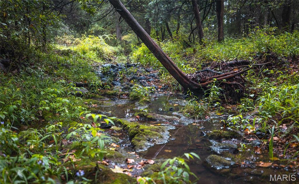 0 John Emling Road Irondale, MO 63648 - Photo 27 of 49