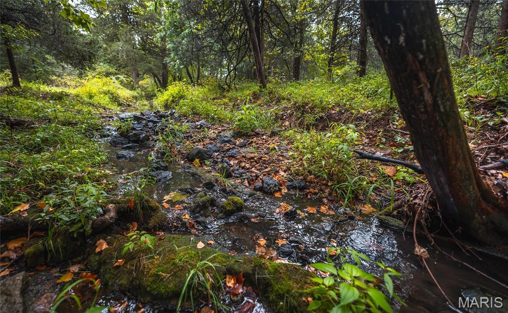 0 John Emling Road Irondale, MO 63648 - Photo 28 of 49