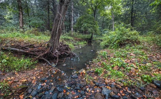 $775,000 | 0 John Emling Road, Irondale, MO 63648