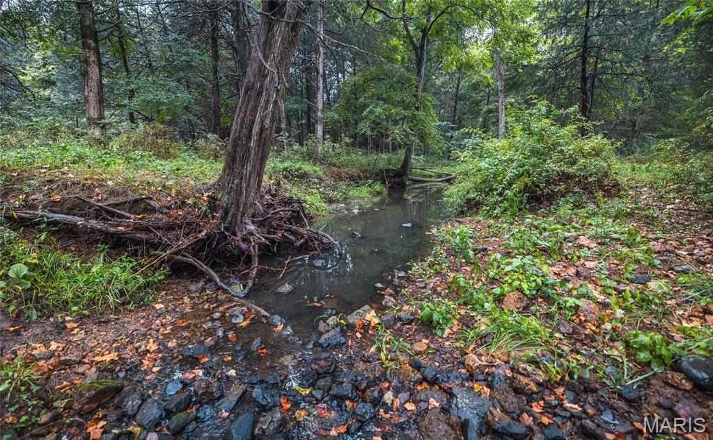 0 John Emling Road Irondale, MO 63648 - Photo 29 of 49