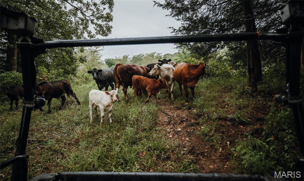 0 John Emling Road Irondale, MO 63648 - Photo 30 of 49