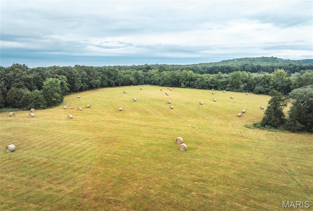 0 John Emling Road Irondale, MO 63648 - Photo 3 of 49