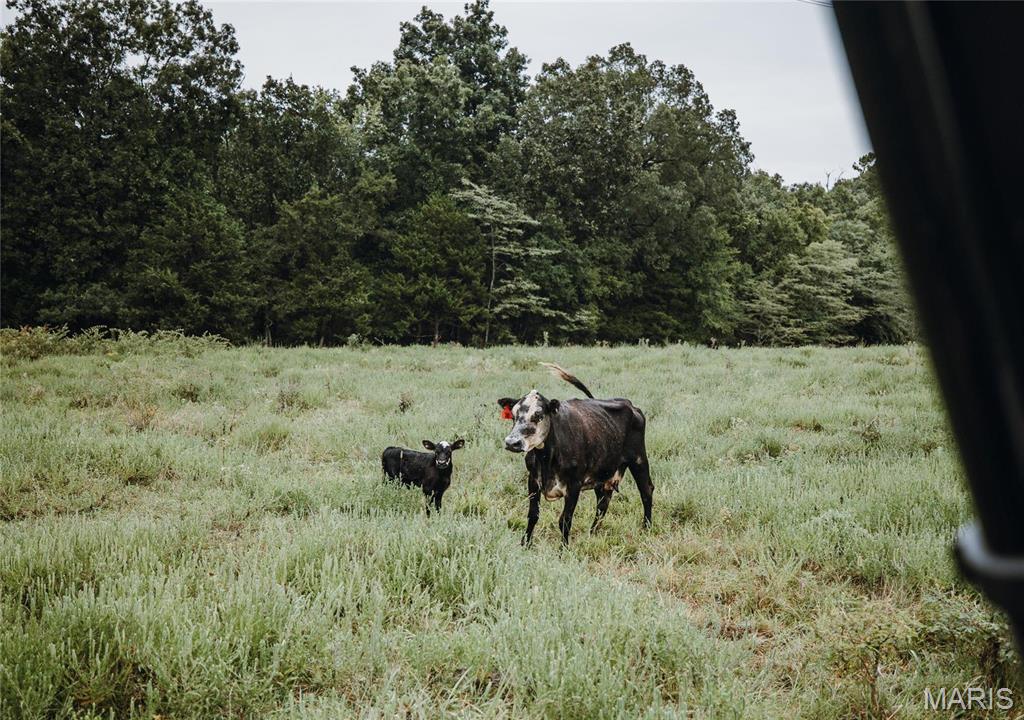 0 John Emling Road Irondale, MO 63648 - Photo 31 of 49