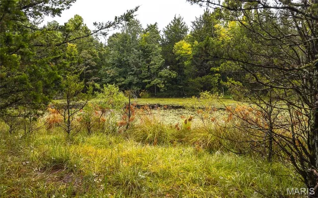 $775,000 | 0 John Emling Road, Irondale, MO 63648