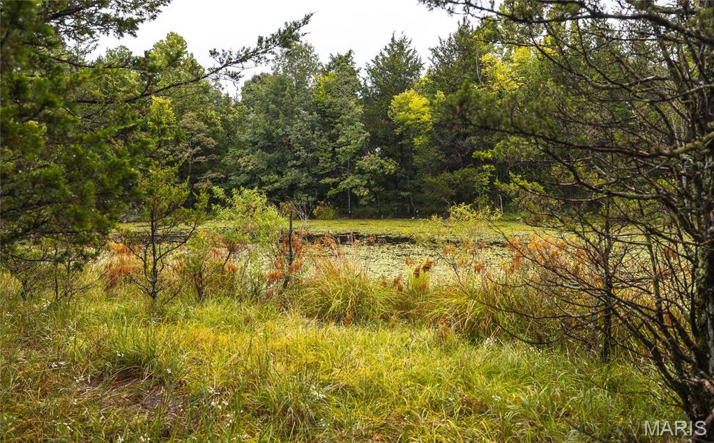 0 John Emling Road Irondale, MO 63648 - Photo 33 of 49