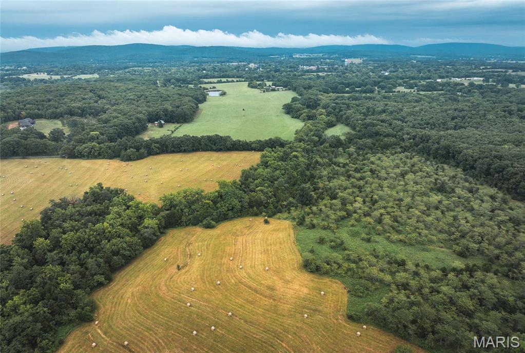 0 John Emling Road Irondale, MO 63648 - Photo 37 of 49