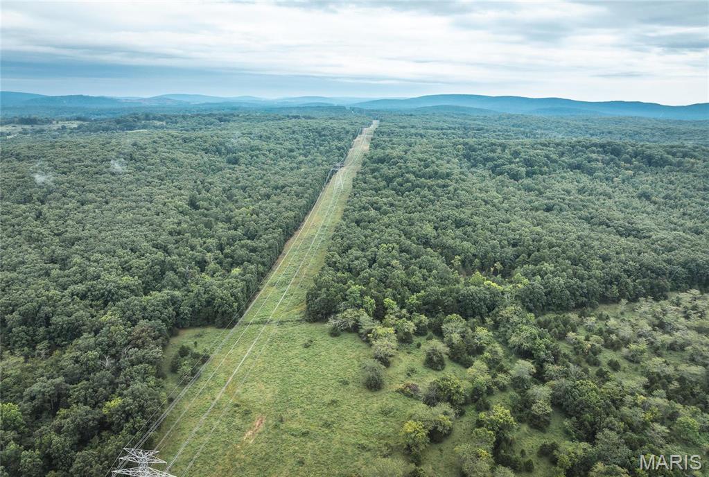 0 John Emling Road Irondale, MO 63648 - Photo 38 of 49