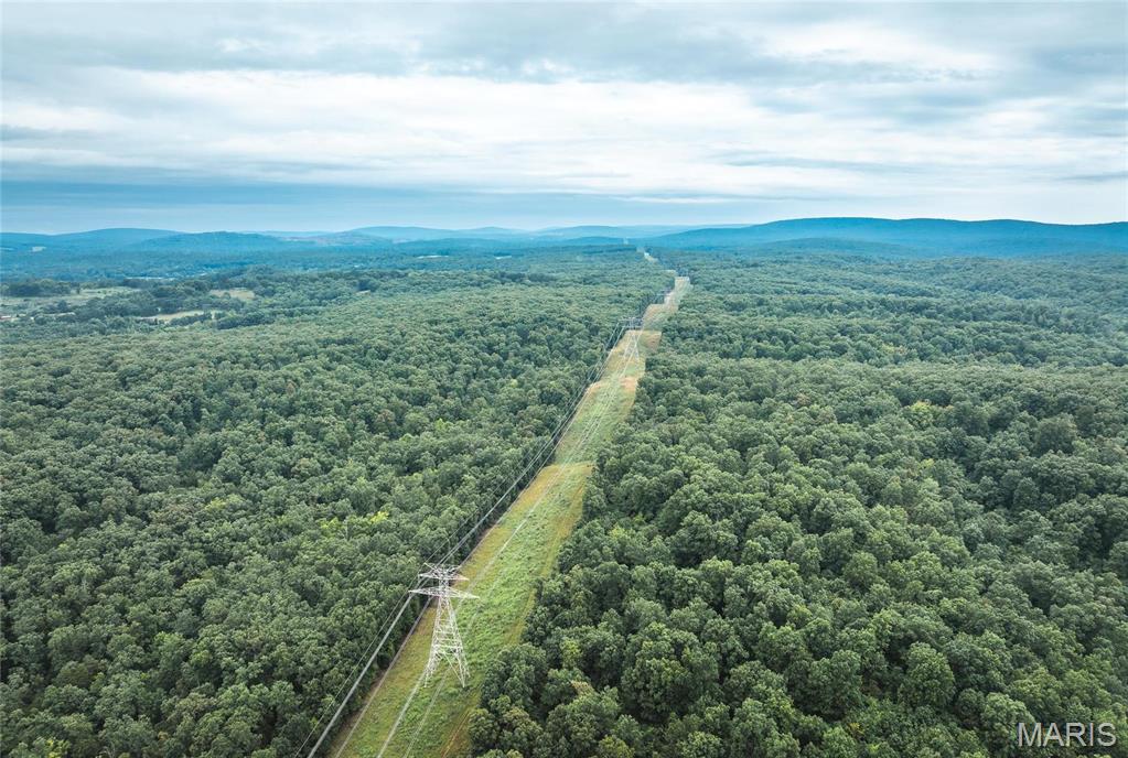 0 John Emling Road Irondale, MO 63648 - Photo 39 of 49