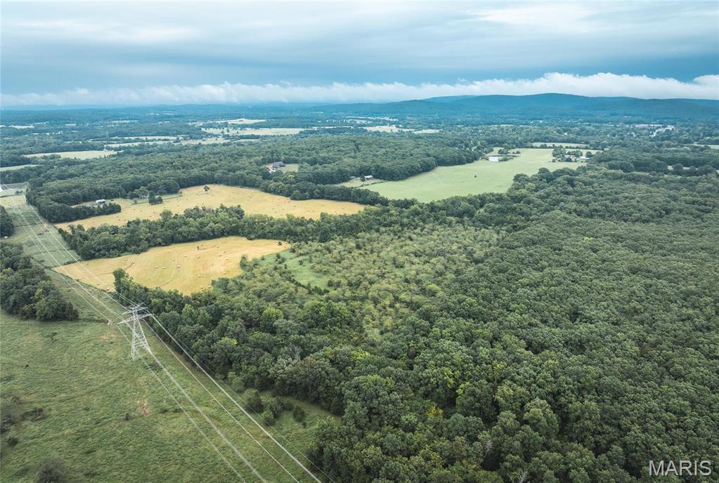 0 John Emling Road Irondale, MO 63648 - Photo 41 of 49