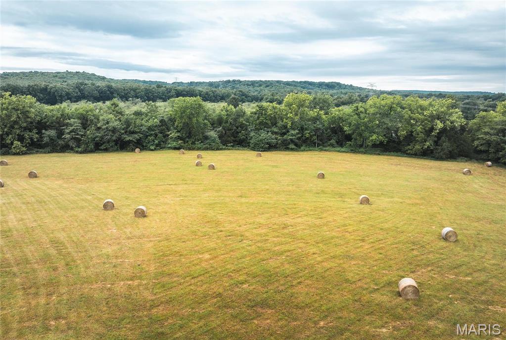 0 John Emling Road Irondale, MO 63648 - Photo 46 of 49