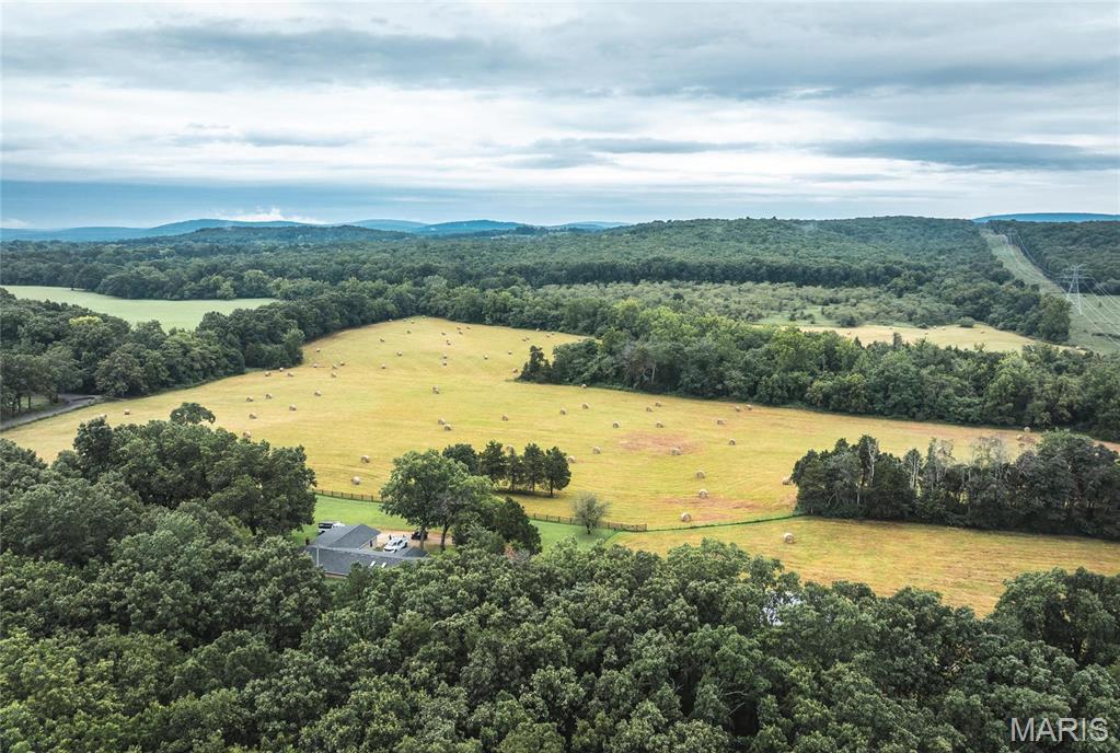 0 John Emling Road Irondale, MO 63648 - Photo 48 of 49