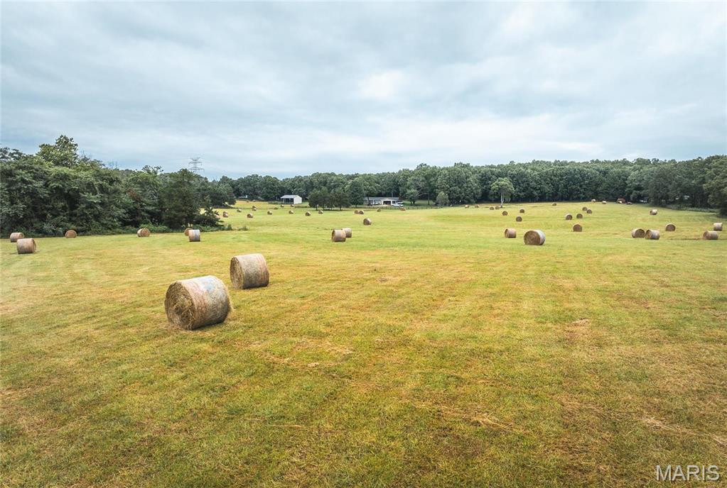 0 John Emling Road Irondale, MO 63648 - Photo 49 of 49