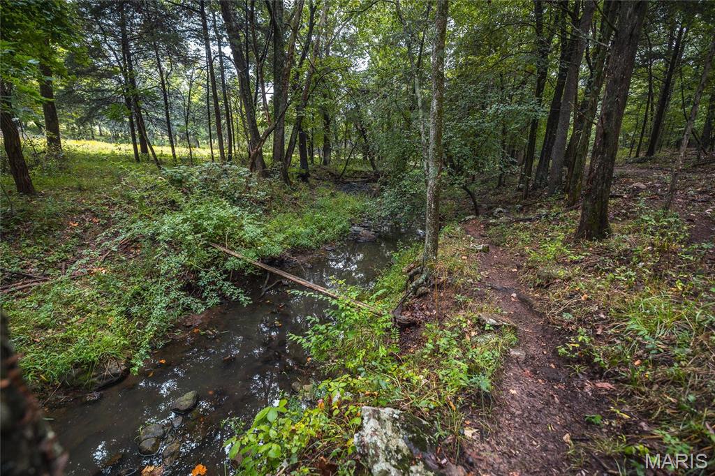 0 John Emling Road Irondale, MO 63648 - Photo 6 of 49