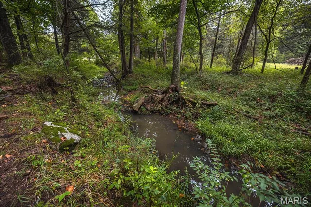 $775,000 | 0 John Emling Road, Irondale, MO 63648