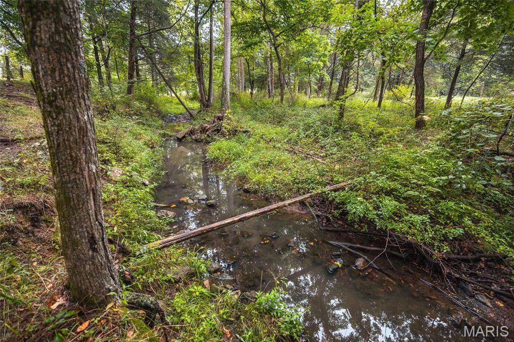 0 John Emling Road Irondale, MO 63648 - Photo 8 of 49