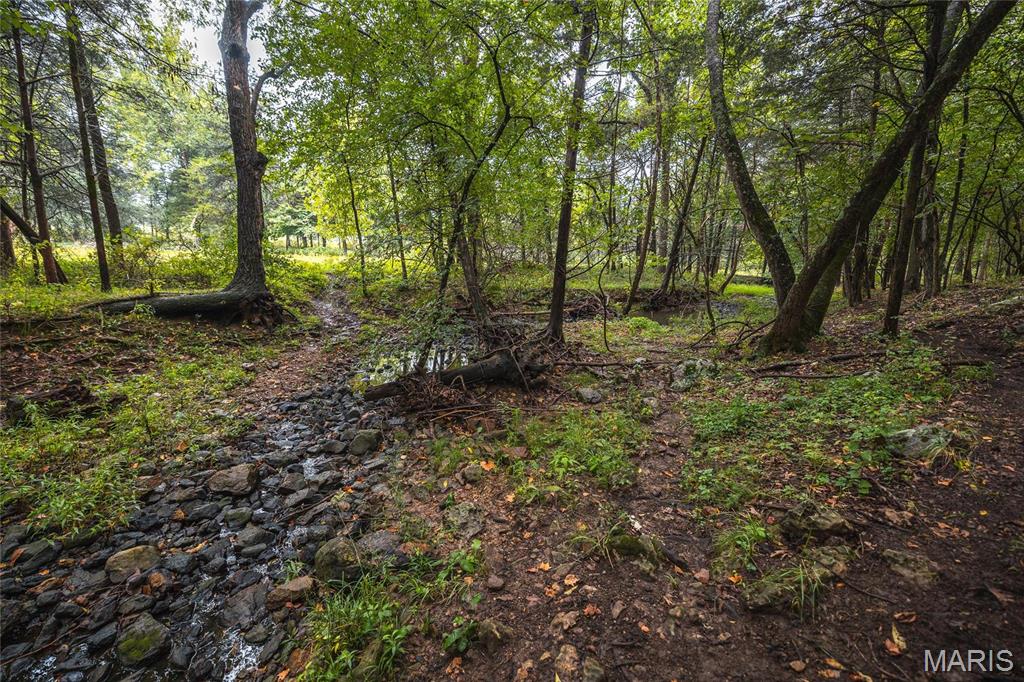 0 John Emling Road Irondale, MO 63648 - Photo 9 of 49