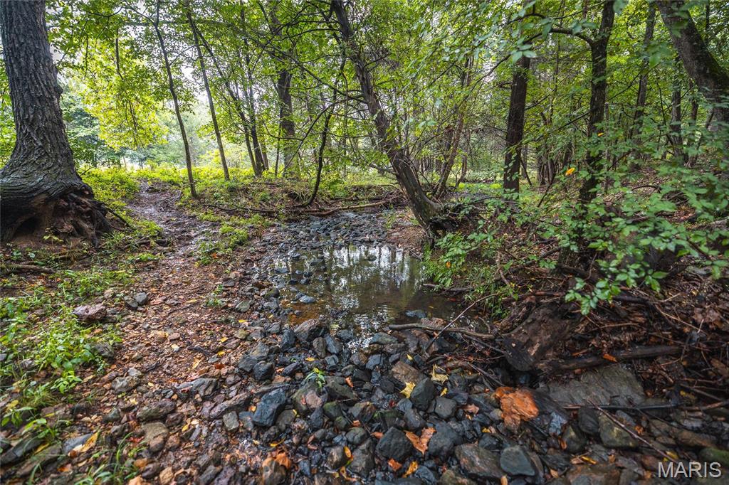 0 John Emling Road Irondale, MO 63648 - Photo 10 of 49