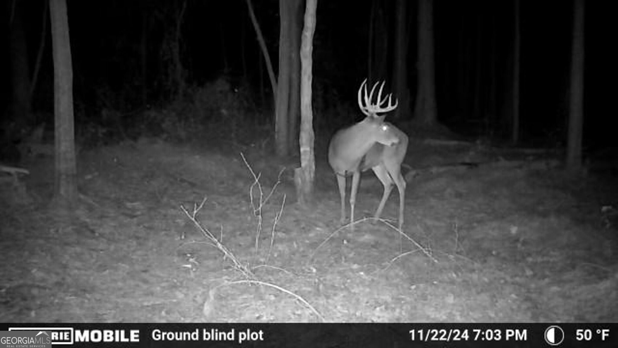 0 Sam Bradley Road Americus, GA 31709 - Photo 27 of 37 Gallery Image 27