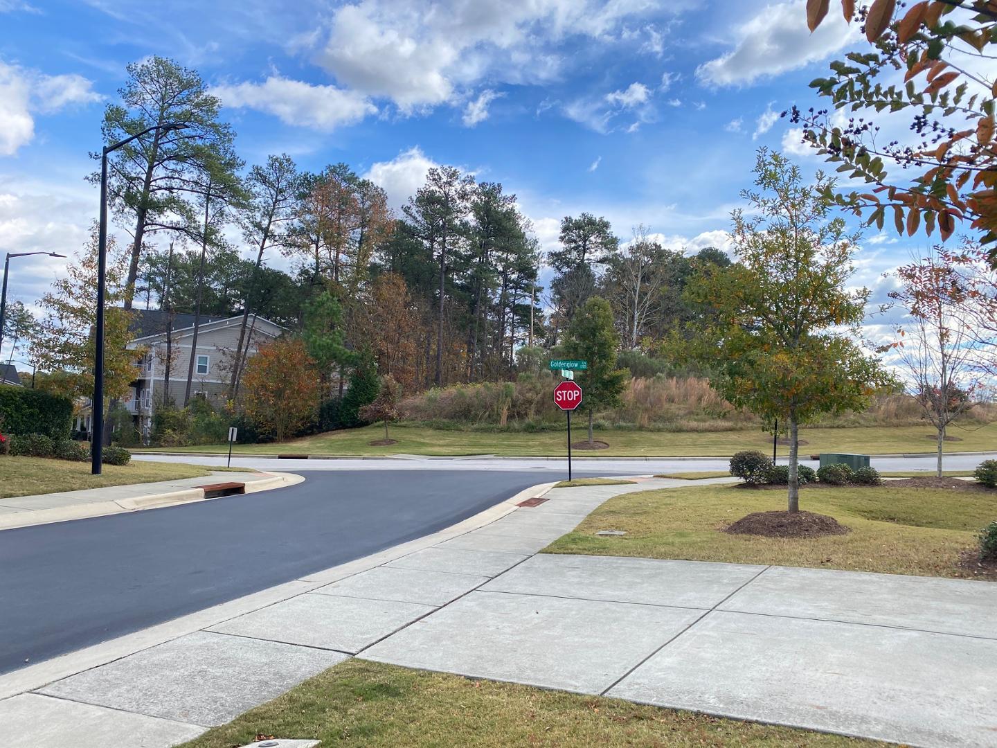 1005 Saffron Loop Durham, NC 27713 - Photo 19 of 26 a view of a basketball court