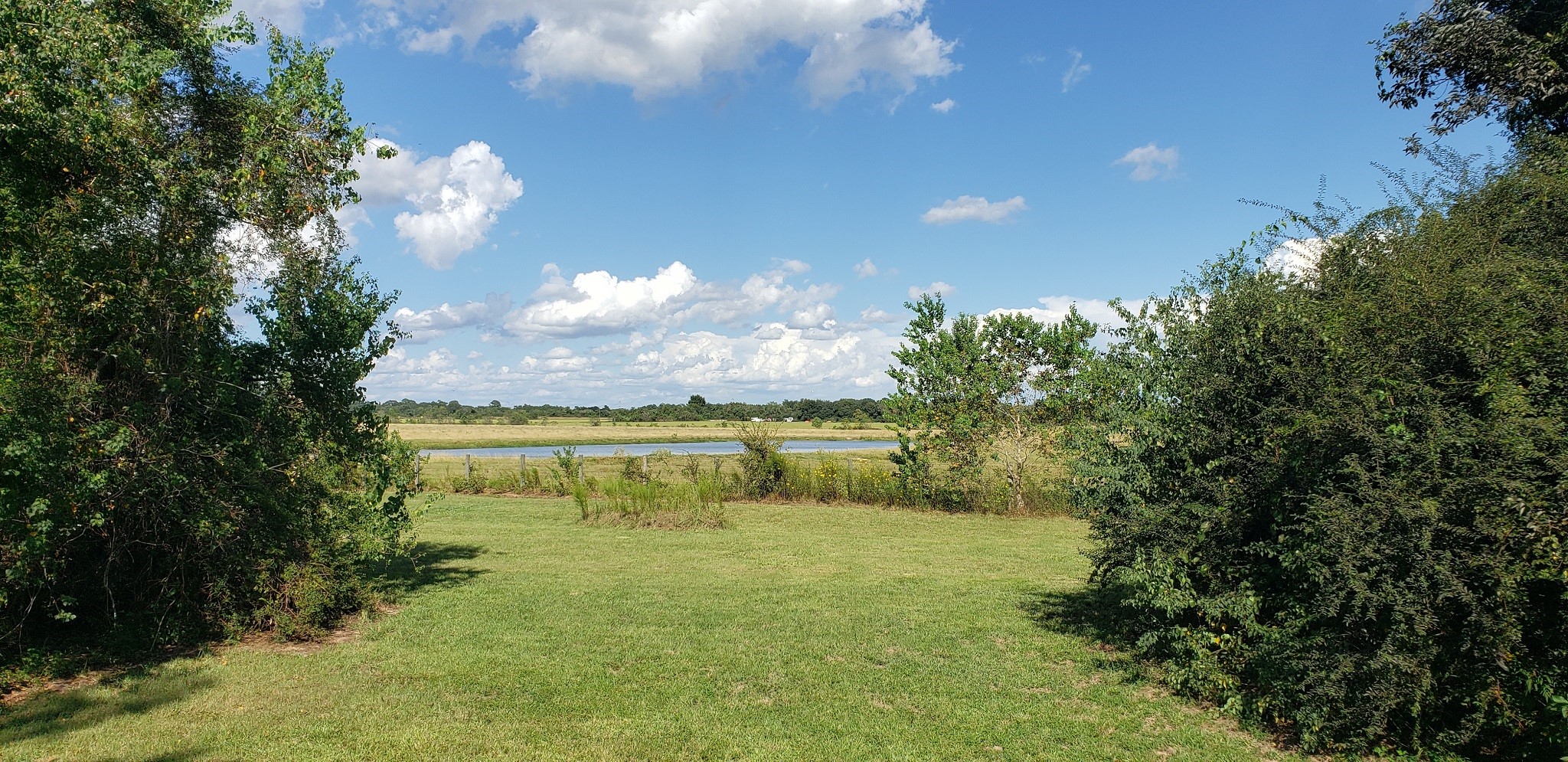 23310 Margerstadt Road Hockley, TX 77447 - Photo 12 of 42 a view of a lake from a yard