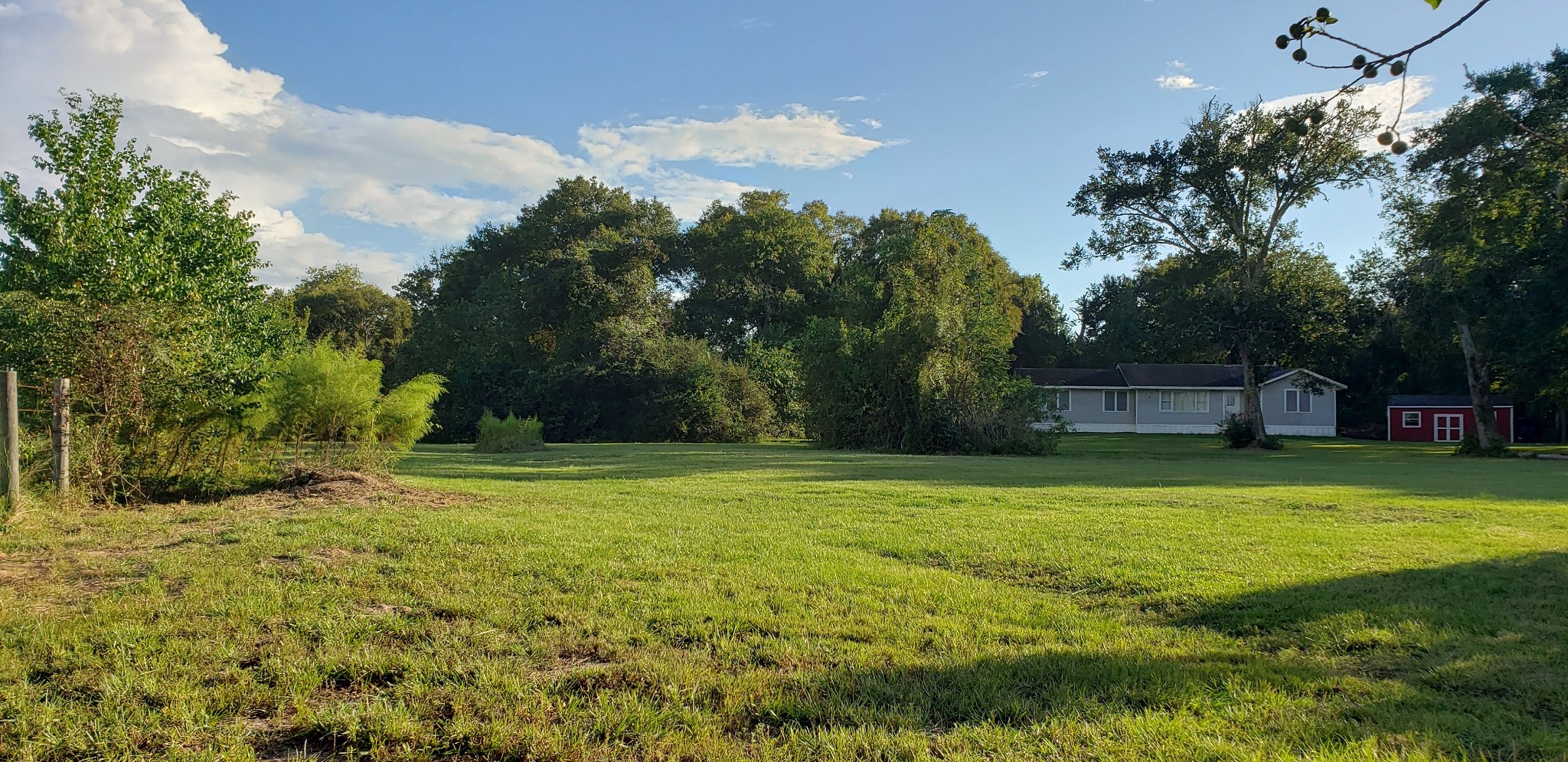 23310 Margerstadt Road Hockley, TX 77447 - Photo 13 of 42 a backyard of a house