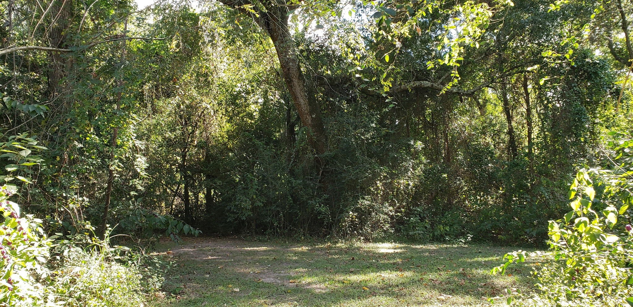 23310 Margerstadt Road Hockley, TX 77447 - Photo 14 of 42