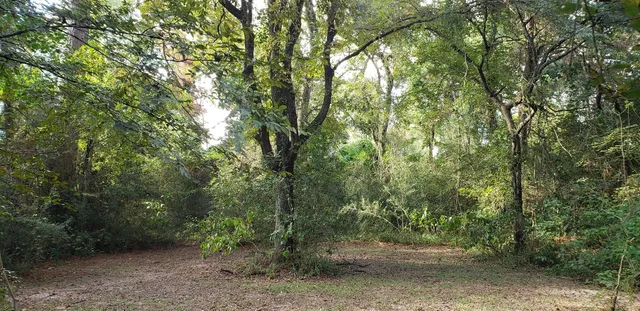 a view of a lake with a tree