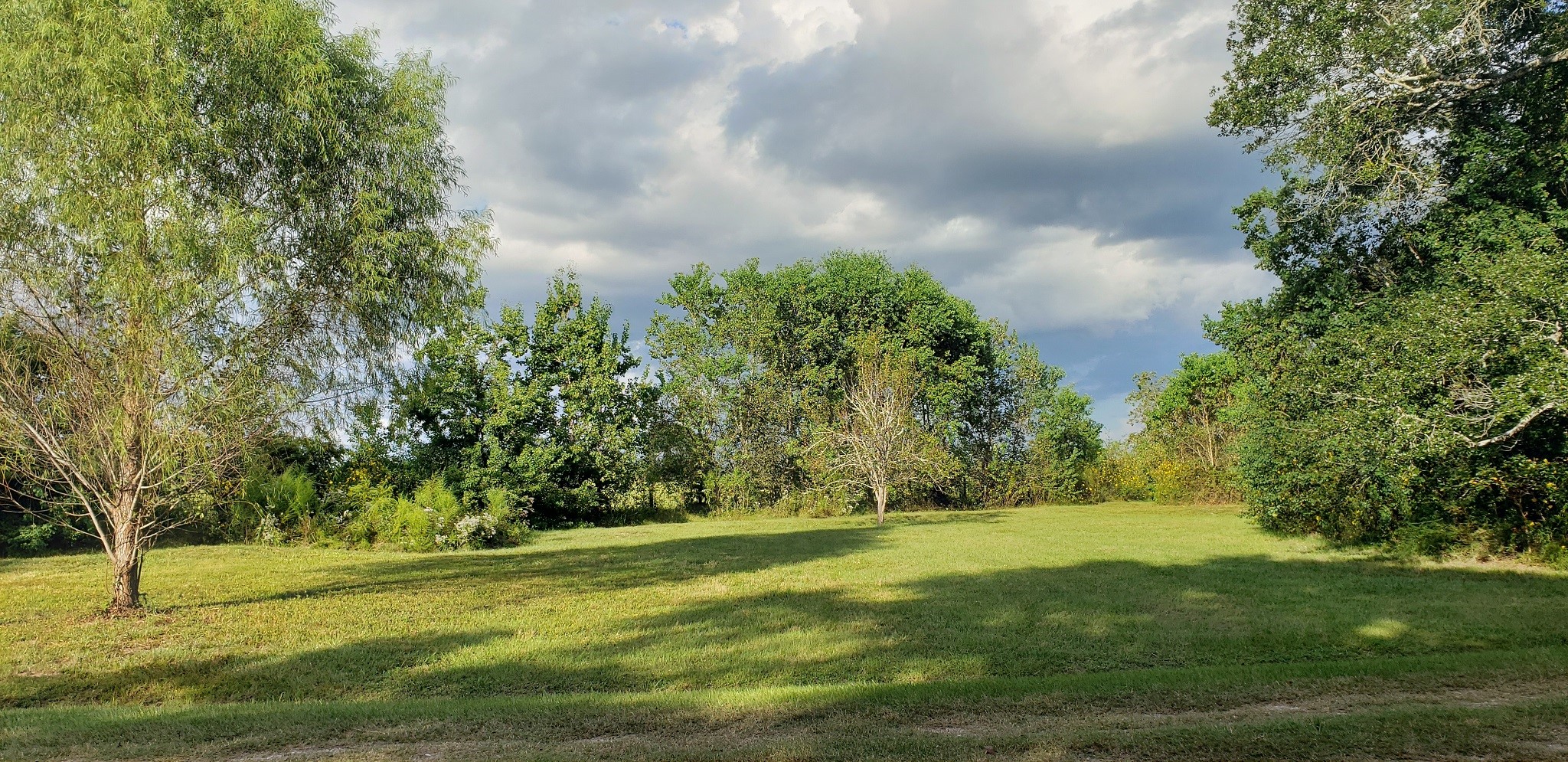 23310 Margerstadt Road Hockley, TX 77447 - Photo 26 of 42 a view of yard with green space