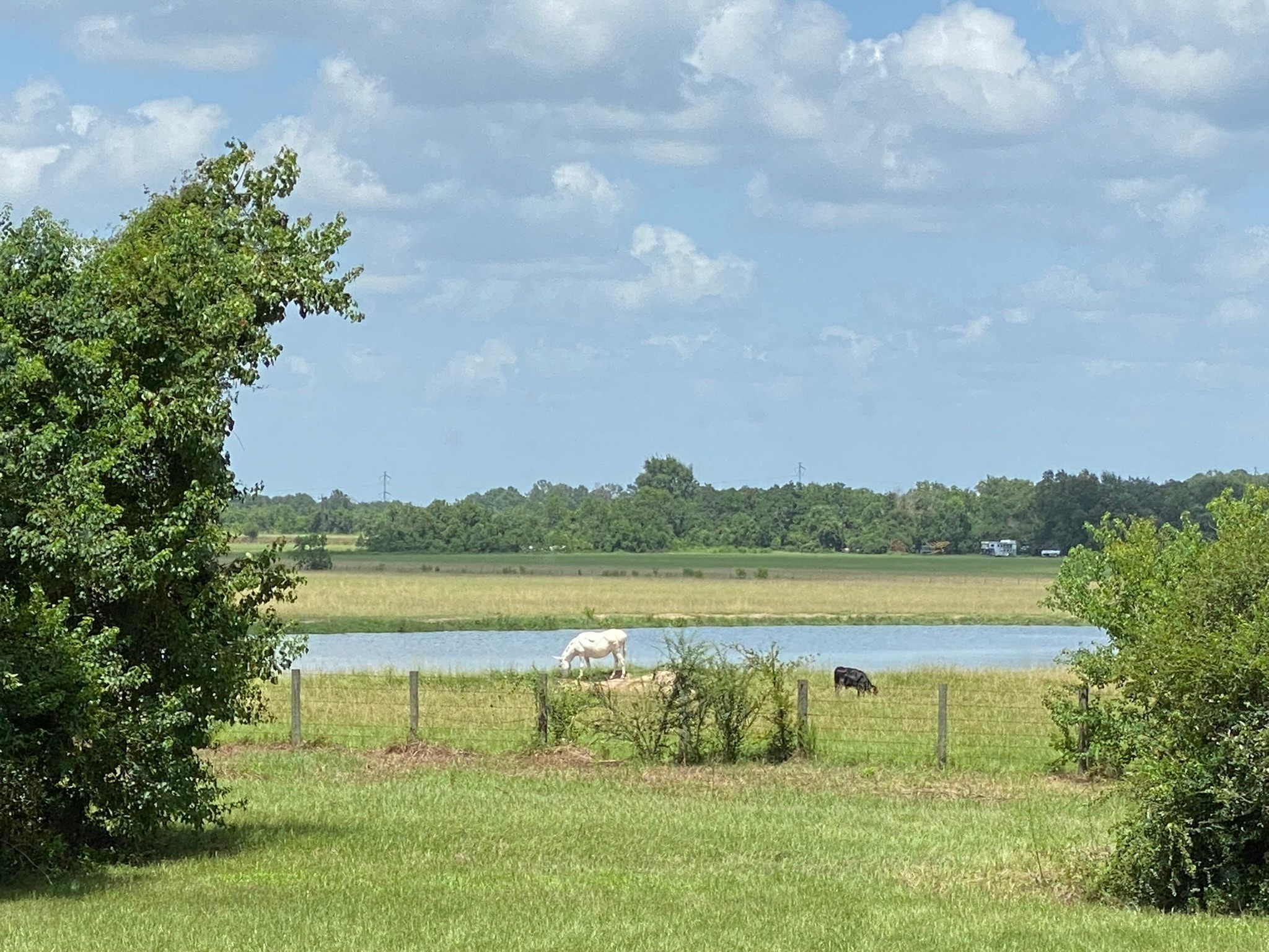 23310 Margerstadt Road Hockley, TX 77447 - Photo 28 of 42 a view of a lake with a mountain in the background
