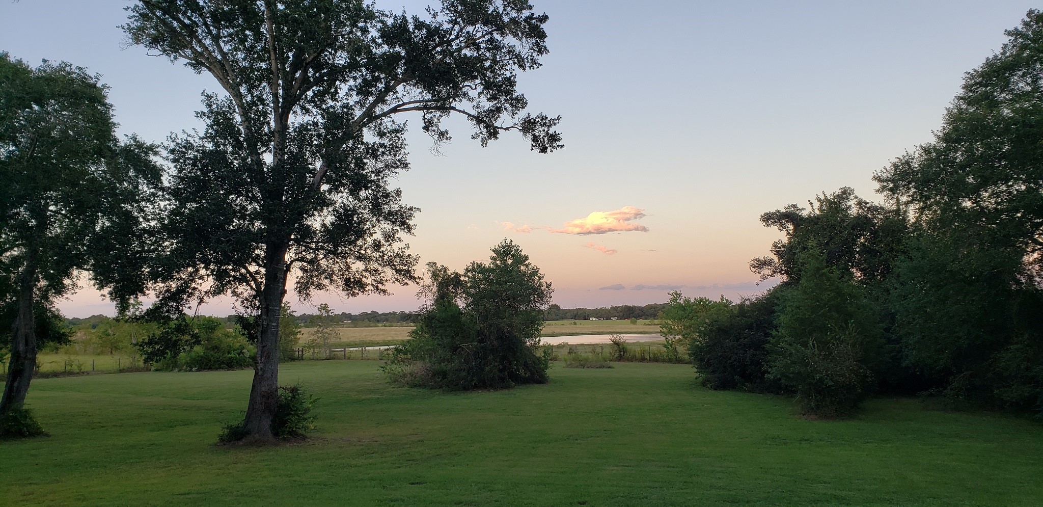 23310 Margerstadt Road Hockley, TX 77447 - Photo 29 of 42 a view of a garden with a tree